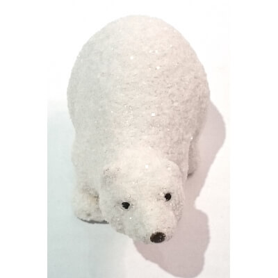 NIEDŹWIEDŹ POLARNY S
