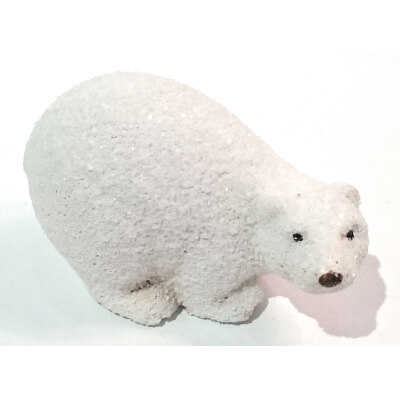 NIEDŹWIEDŹ POLARNY S